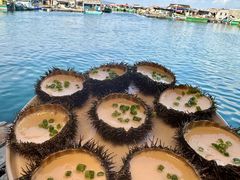 -蓝湾碧波·老字号·疍家非遗海上餐厅
