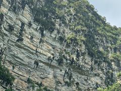 -明仕田园