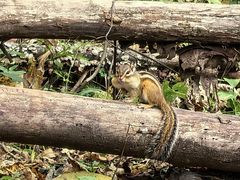 -五女峰国家森林公园