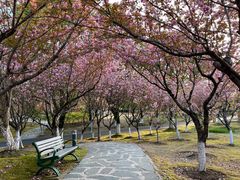 -白塘生态植物园