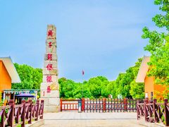-中国扬子鳄村