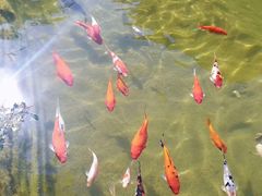 -吴裕泰茶庄(鼓楼店)