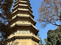 -灵谷景区