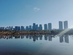-月湖风景区