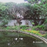 周末放假肯定要去逛公园呀