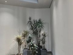 -北京三里屯CHAO酒店