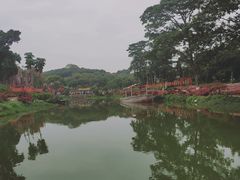 -松山湖梦幻百花洲