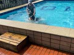 -趣玩宠物乐园寄养训犬训狗游泳池