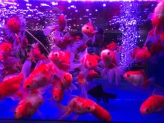 -三旗百汇商品城