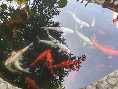 -麦园农庄·西江河鲜