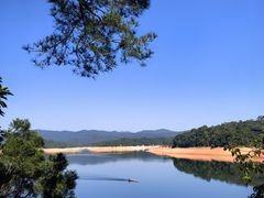 -广州市流溪河国家森林公园