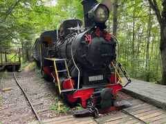 -五营红松林海景区