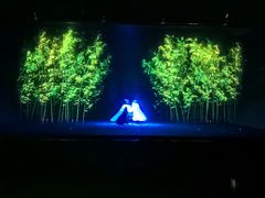 -济南方特东方神画