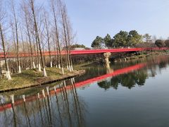 -青枫公园