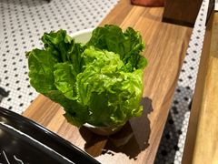 -同仁四季椰子鸡(海岸城天利店)