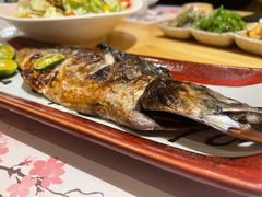 -鳗鲔料理小馆