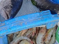 -大连熟食品交易中心