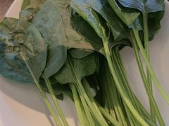 -皇城老妈火锅·川味传承(港湾店)
