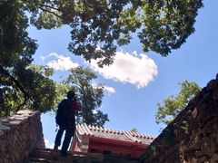 -北京上方山国家森林公园