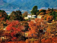 -塔川景区