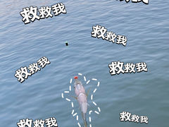 -番禺大夫山森林公园