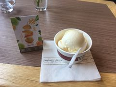 -哈根达斯(石家庄北国店)