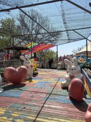 -萌宠亲子动物乐园(槐房万达店)