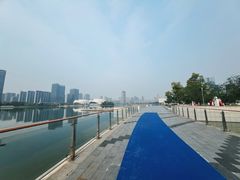 -金沙湖公园