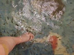 -东方之珠洗浴休闲广场(大港店)
