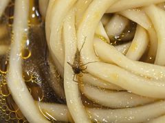 -李先生牛肉面大王(济泺路店)