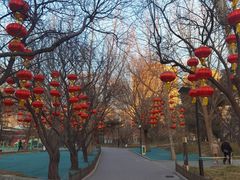-丰台花园