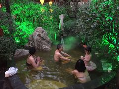 -西安国际创新人才交流中心•药浴温泉