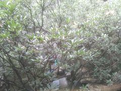 -鱼桥巷·美学川菜