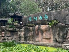 -深圳国际园林花卉博览园