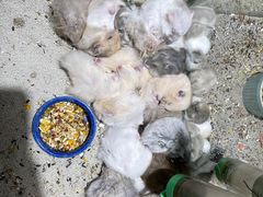 -三旗百汇商品城