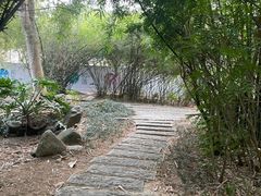 -深圳国际园林花卉博览园