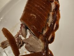 -四季民福烤鸭店(前门廊房二条店)