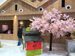 -Mr·Kuma酷么先生雪之乐园