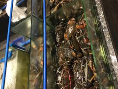 -Isla Sugbu Seafood City