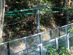 -龙湾潭国家森林公园