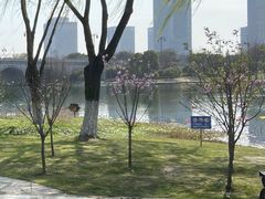 -尚贤河湿地