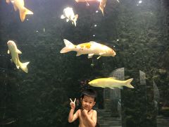 -弘安丽水温泉酒店