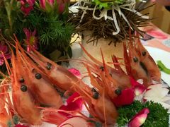 野生马粪活海胆-鲔屋寿喜烧