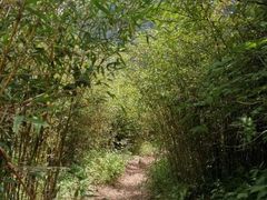-秦岭风景区