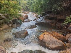 -广州白江湖森林公园