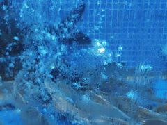 -香山湖渔家大院