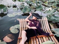-东湖落雁景区