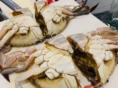 螃蟹-鑫龙火锅城(青岛分店)