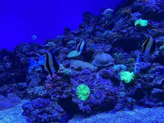 -成都浩海立方海洋公园