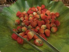 -比尔森韩式烤肉自助(国商店)